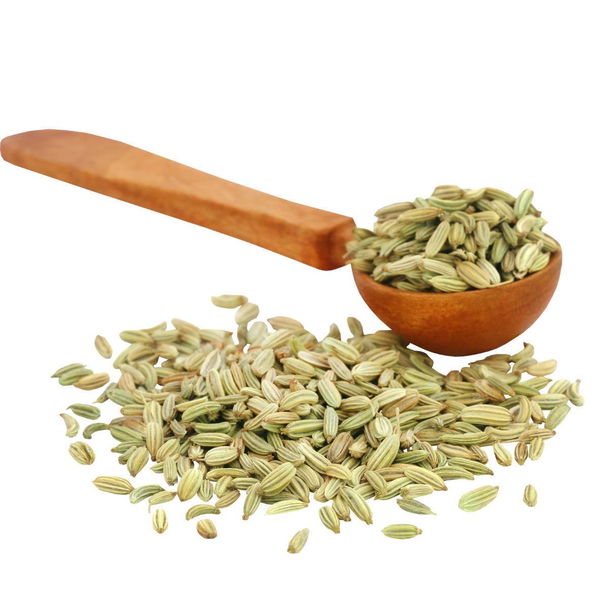 Fennel Seeds